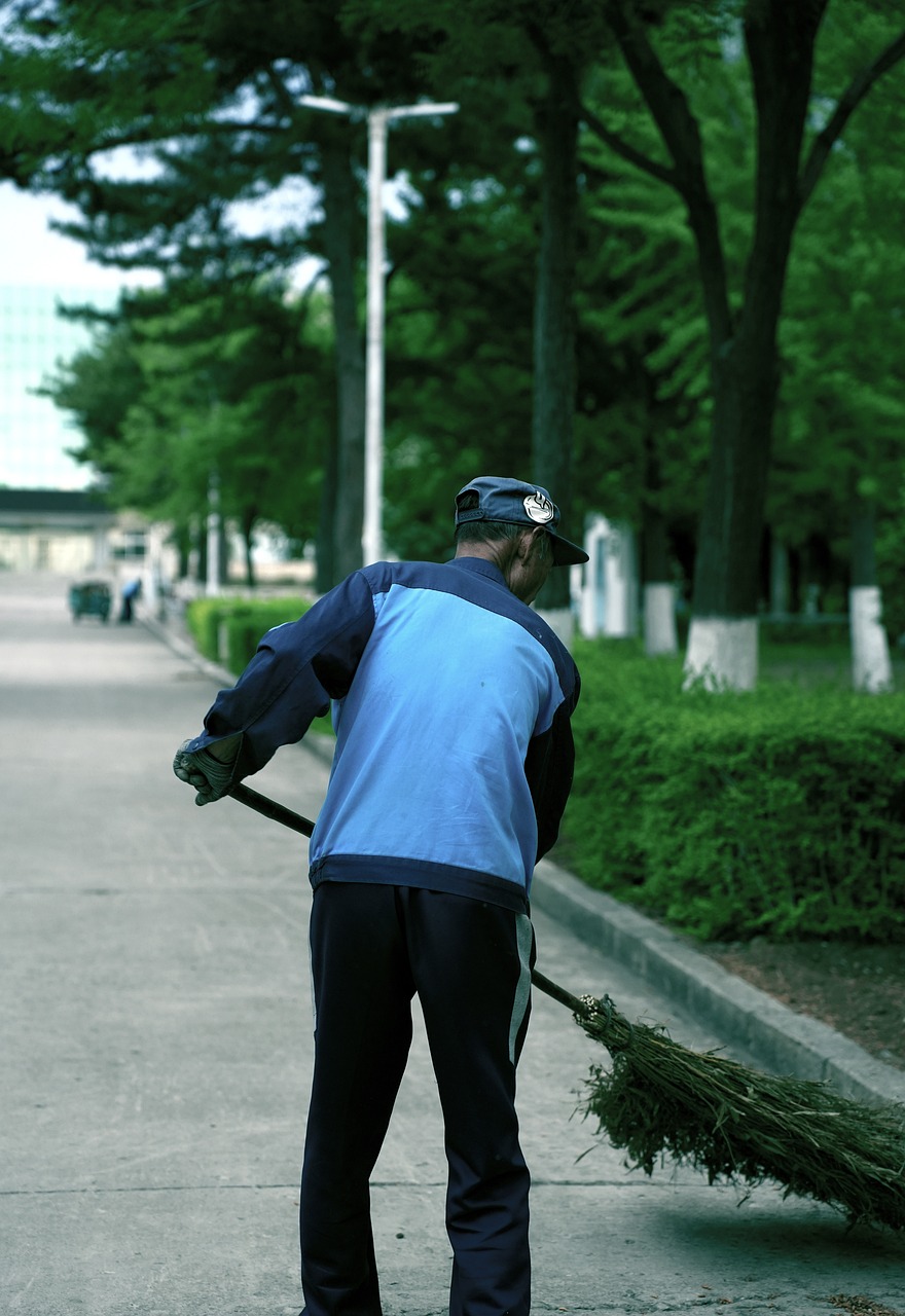 labor, cleaning, campus-7506132.jpg