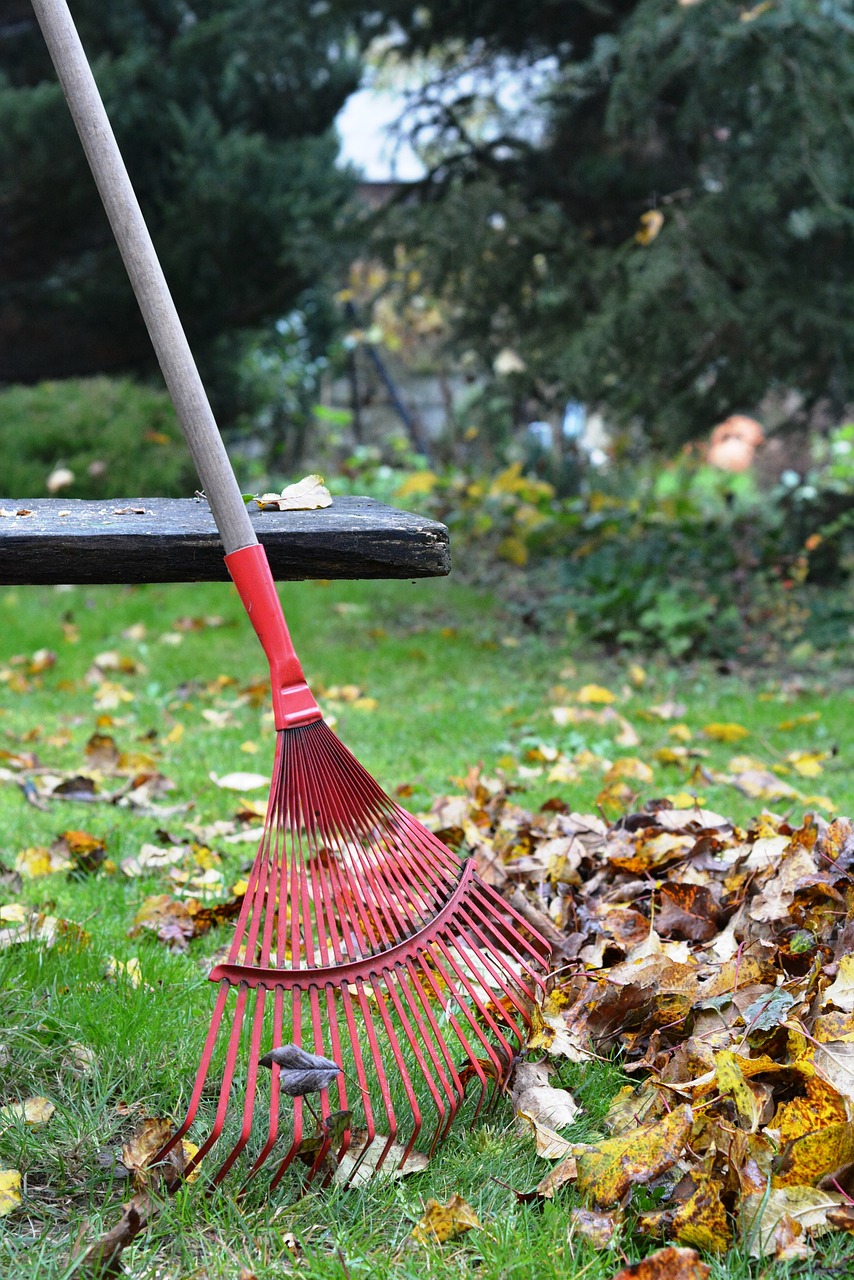 rake, rob, raking-2876078.jpg